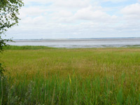 Fanø Klitplantage-ruten